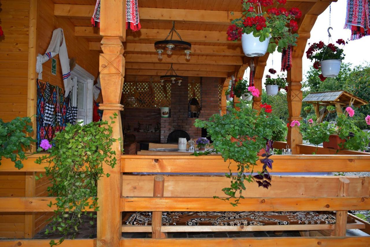 Отель Casa Vladicu Breb Экстерьер фото