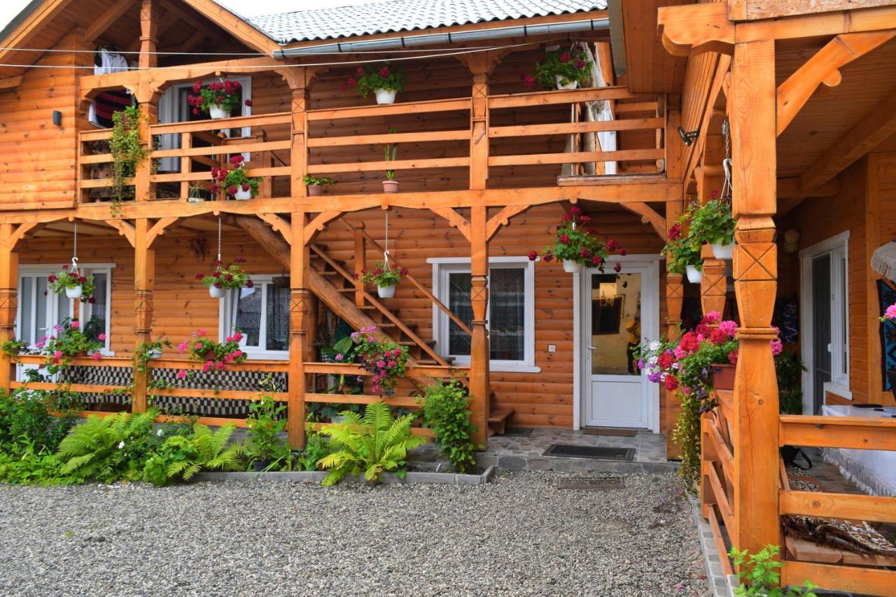 Отель Casa Vladicu Breb Экстерьер фото