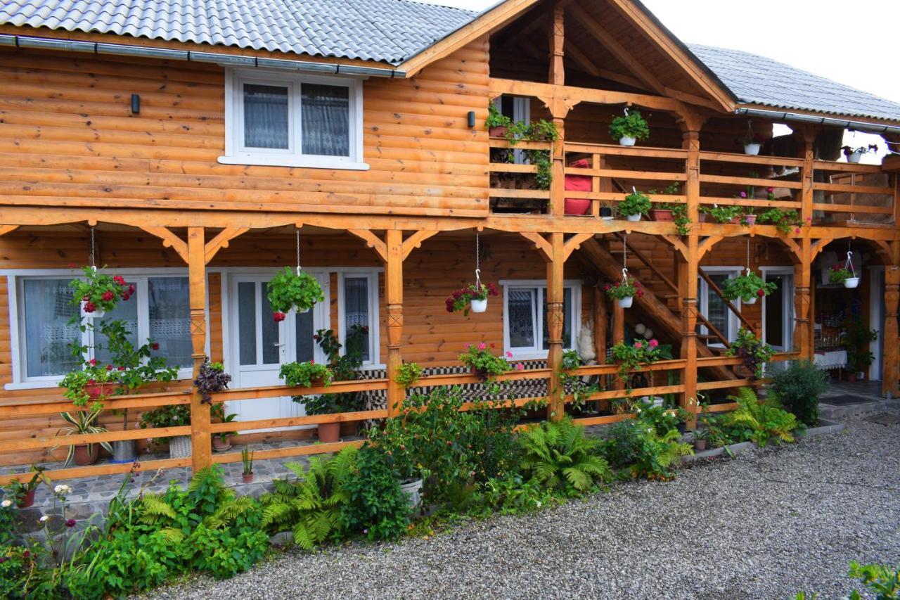 Отель Casa Vladicu Breb Экстерьер фото