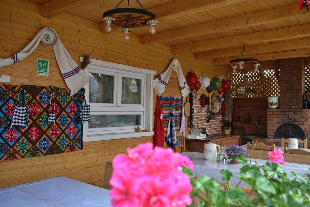 Отель Casa Vladicu Breb Экстерьер фото