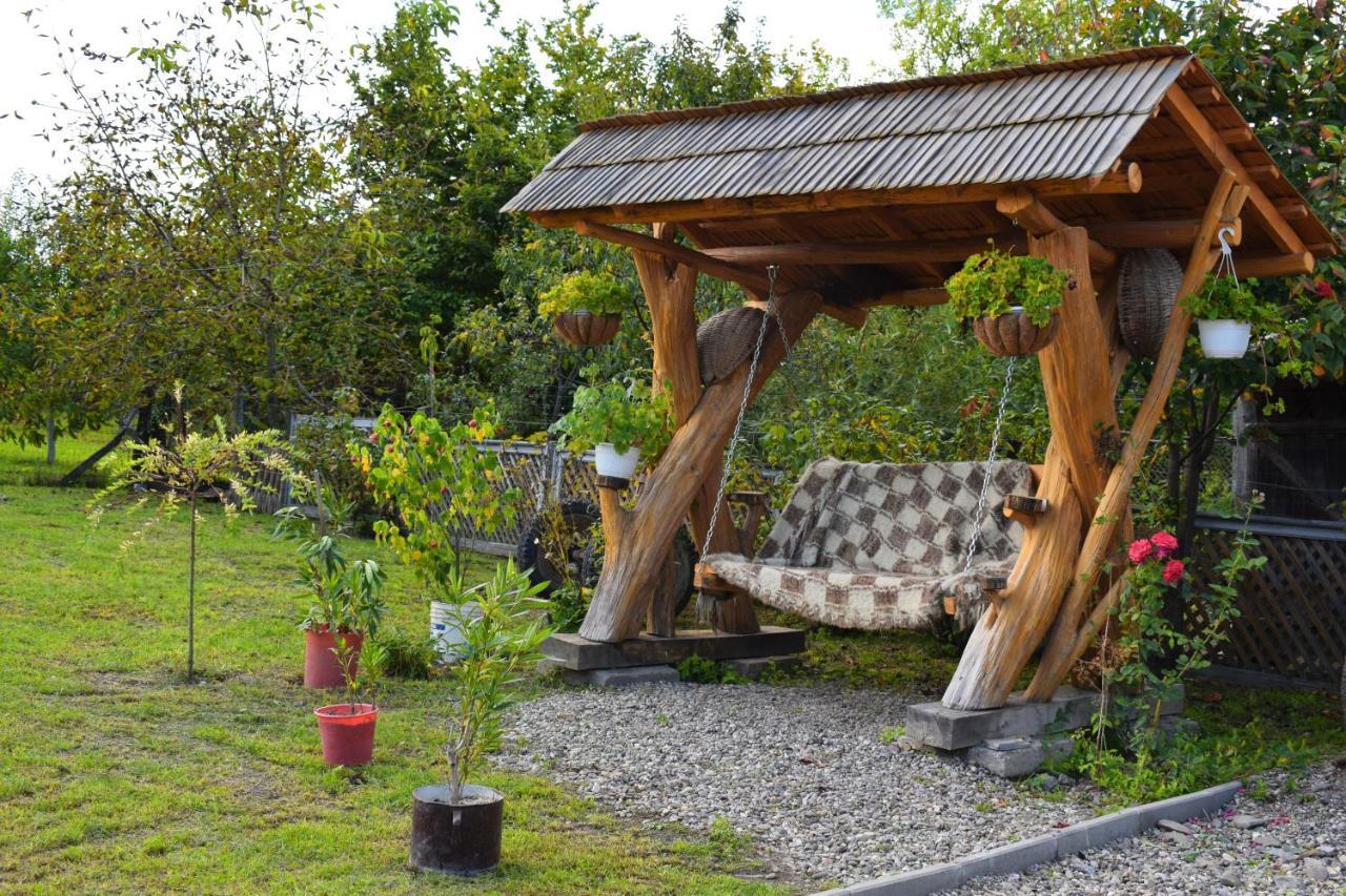Отель Casa Vladicu Breb Экстерьер фото