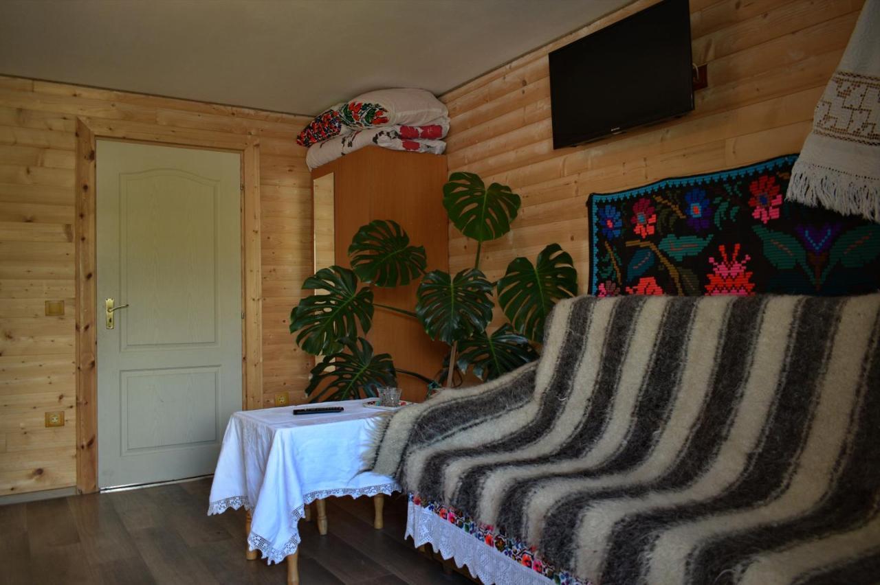 Отель Casa Vladicu Breb Экстерьер фото