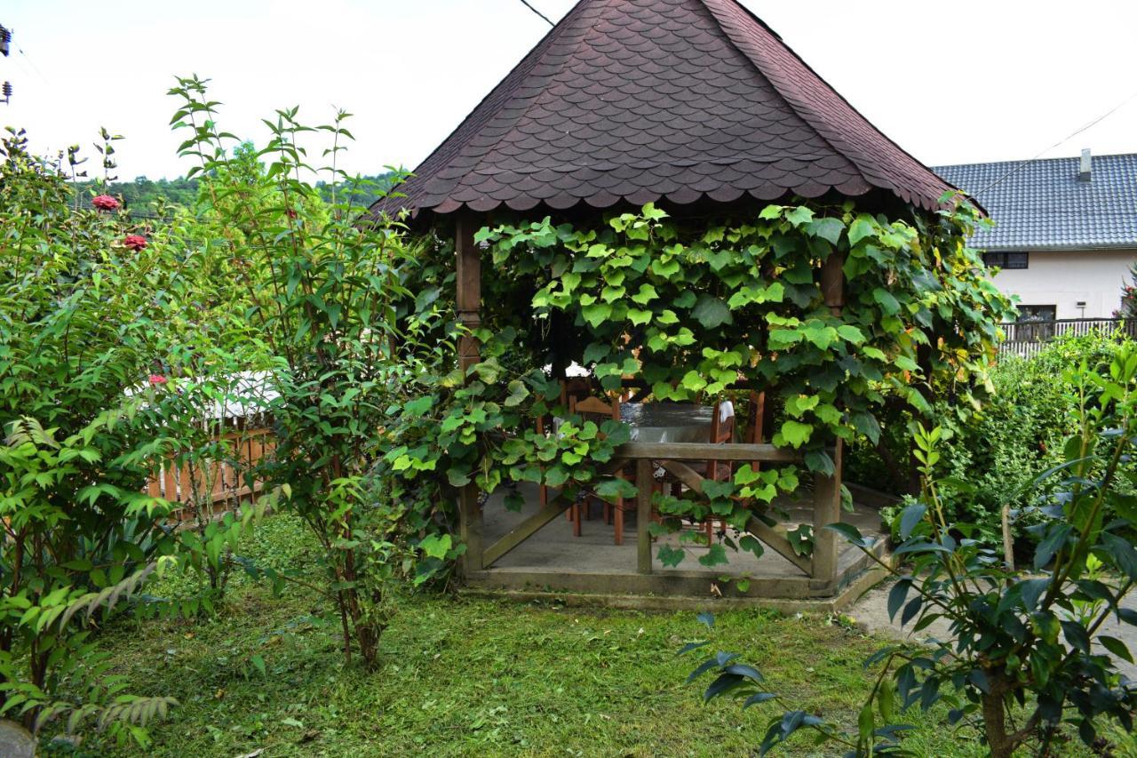 Отель Casa Vladicu Breb Экстерьер фото